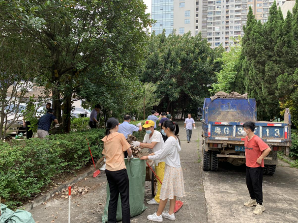 香港免费马资料最准的网站