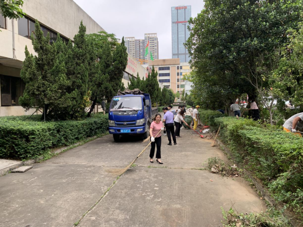 香港免费马资料最准的网站